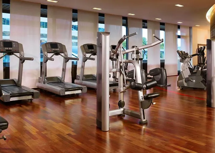 Sheraton Frankfurt Airport & Conference Center Hotel 4*